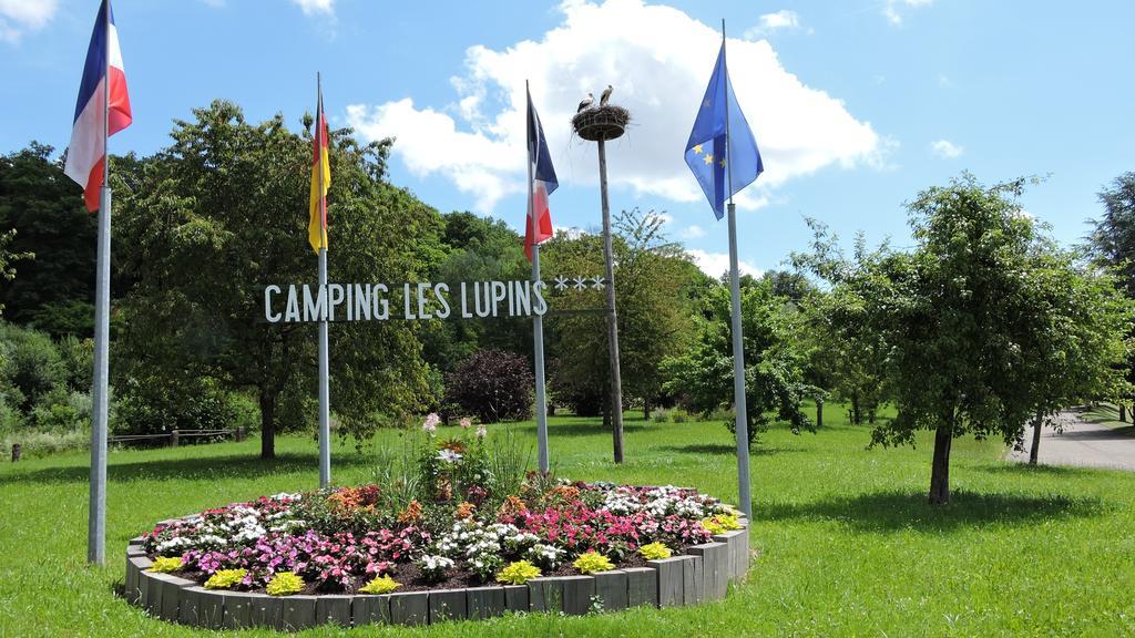 Camping Les Lupins Seppois-le-Bas Εξωτερικό φωτογραφία